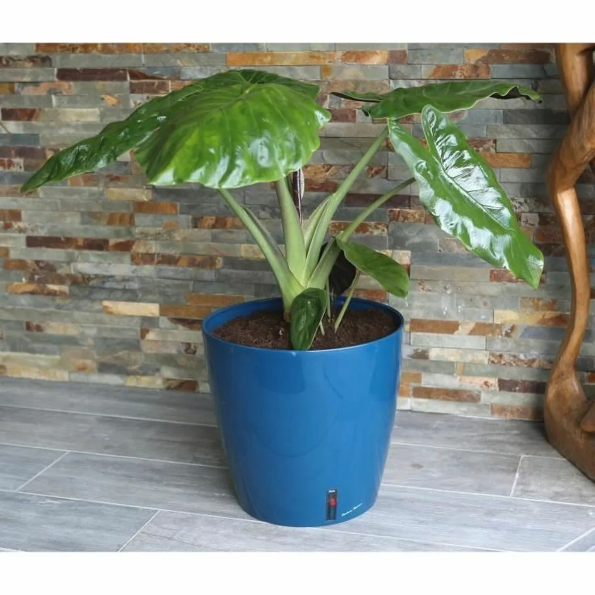Pot riss riv3580796331061 o 30 cm s719625214. Diaytar : Parce que vos goûts sont éclectiques, notre offre de produits l'est tout autant. Explorez sans modération.