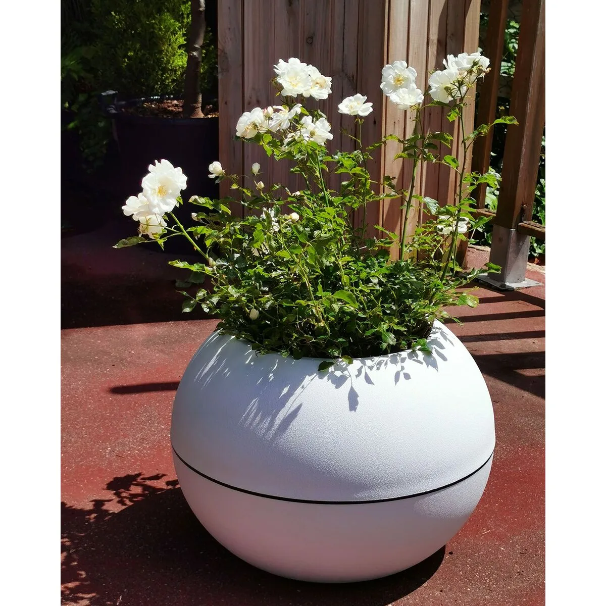 Pot riss riv3580798142023 blanc plastique rond s719625943. La chasse aux produits extraordinaires est ouverte. Diaytar vous donne les clés d'un univers shopping infini.