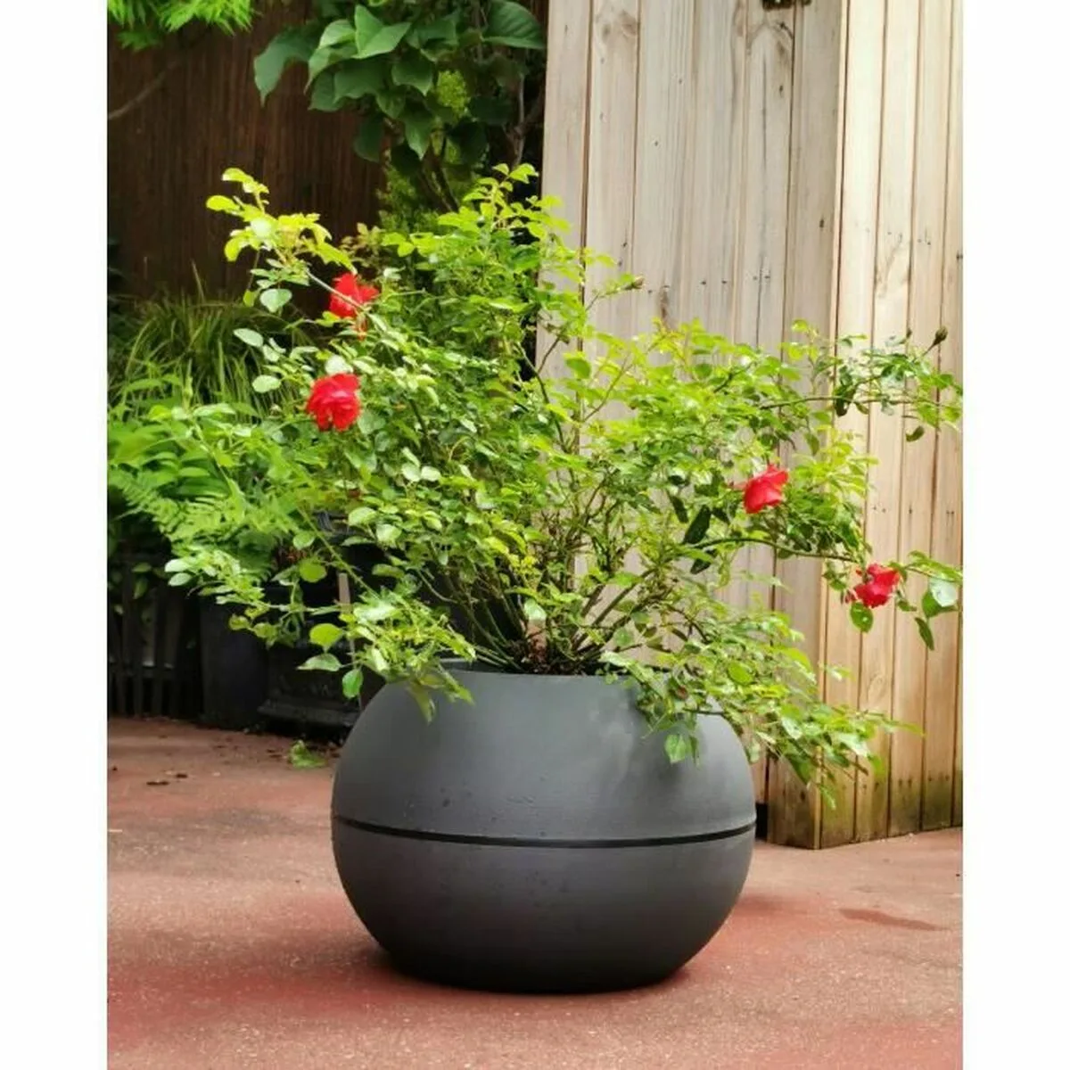 Pot riviera 814276 gris rond ballon o 40 cm s716933230. Diaytar c'est bien plus qu'une boutique en ligne : c'est un concept où chaque produit, de l'électronique à la décoration, raconte une histoire