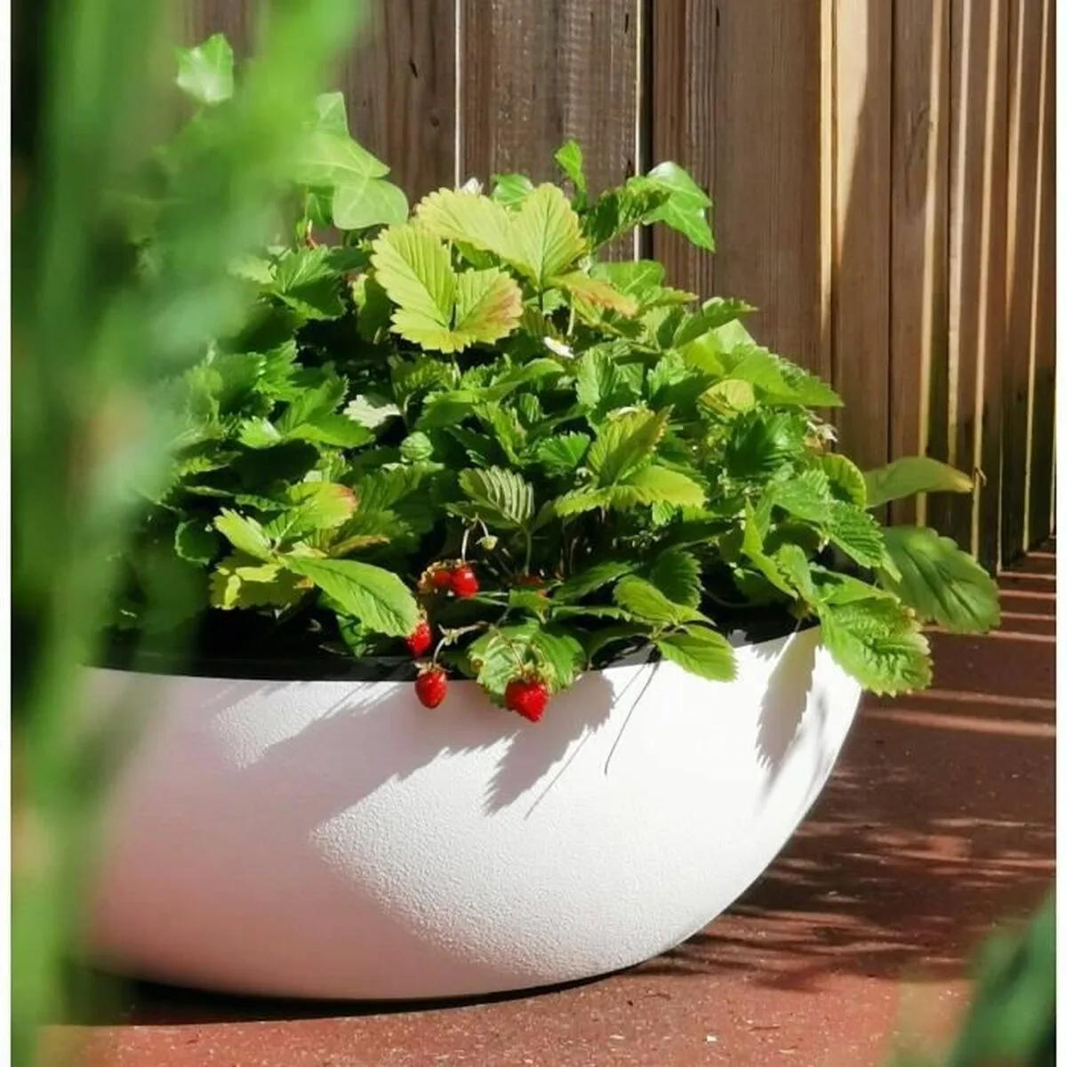 Pot riviera blanc o 40 cm s716485865. L'excellence à portée de clic avec la boutique en ligne Diaytar.