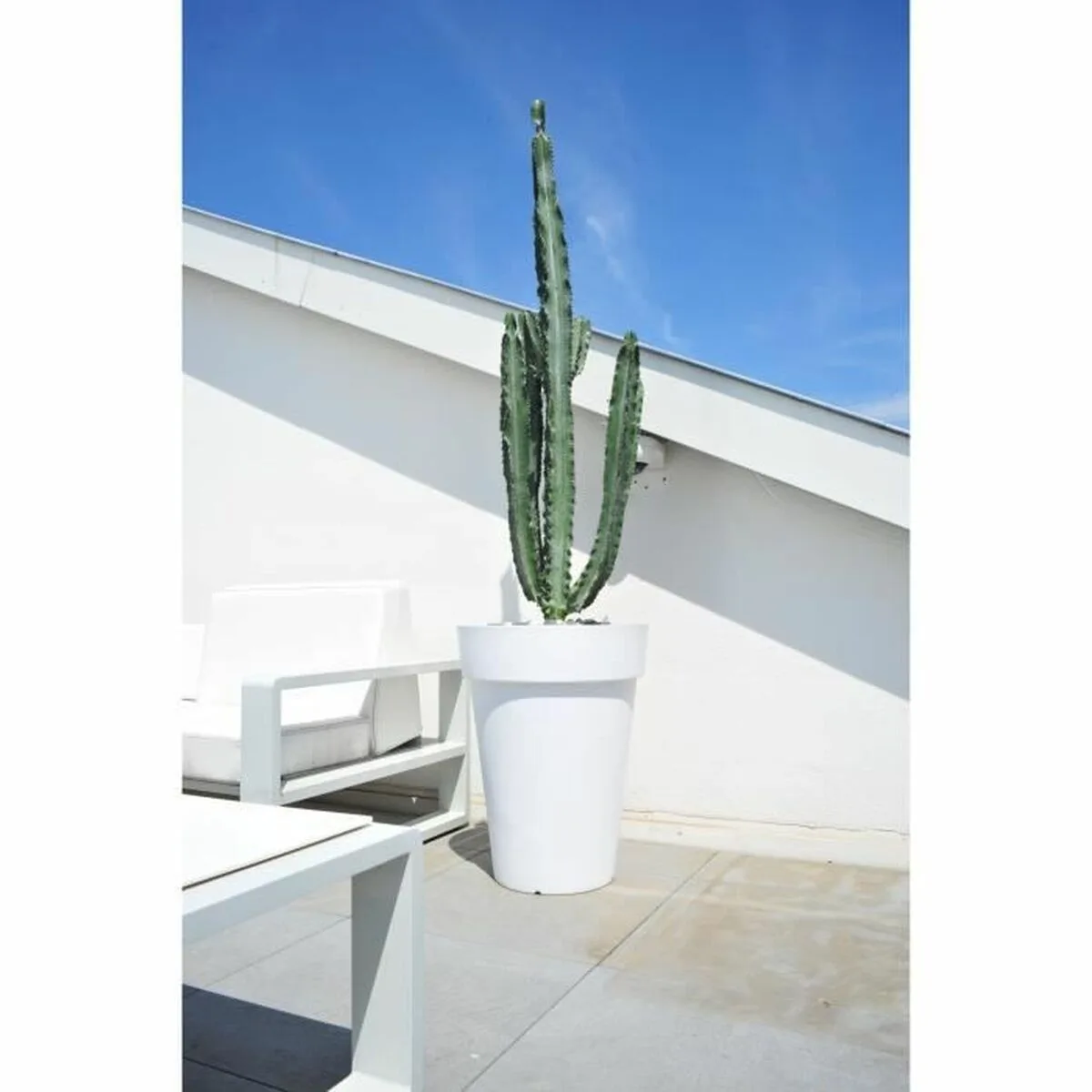 Pot riviera blanc plastique carre o 40 cm s716485260. Diaytar : Parce que vous méritez le meilleur, nous sélectionnons l'excellence.