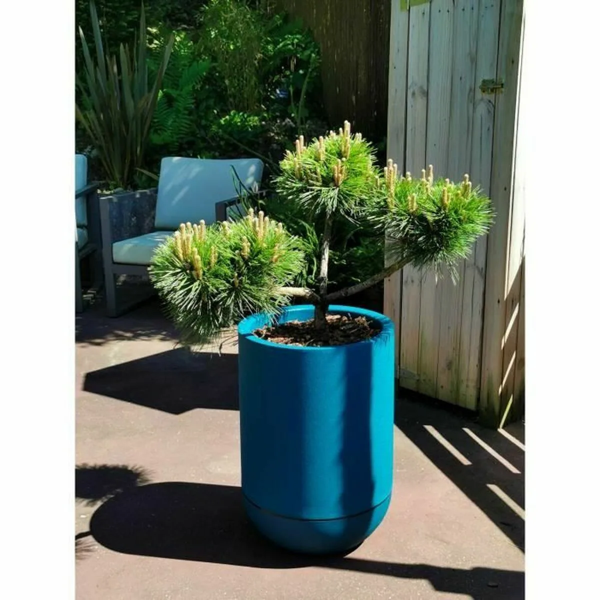 Pot riviera bleu o 40 cm s719688319. Diaytar a été conçu pour ceux qui refusent le compromis. Ici, chaque produit est une victoire du qualitatif sur le quantitatif.