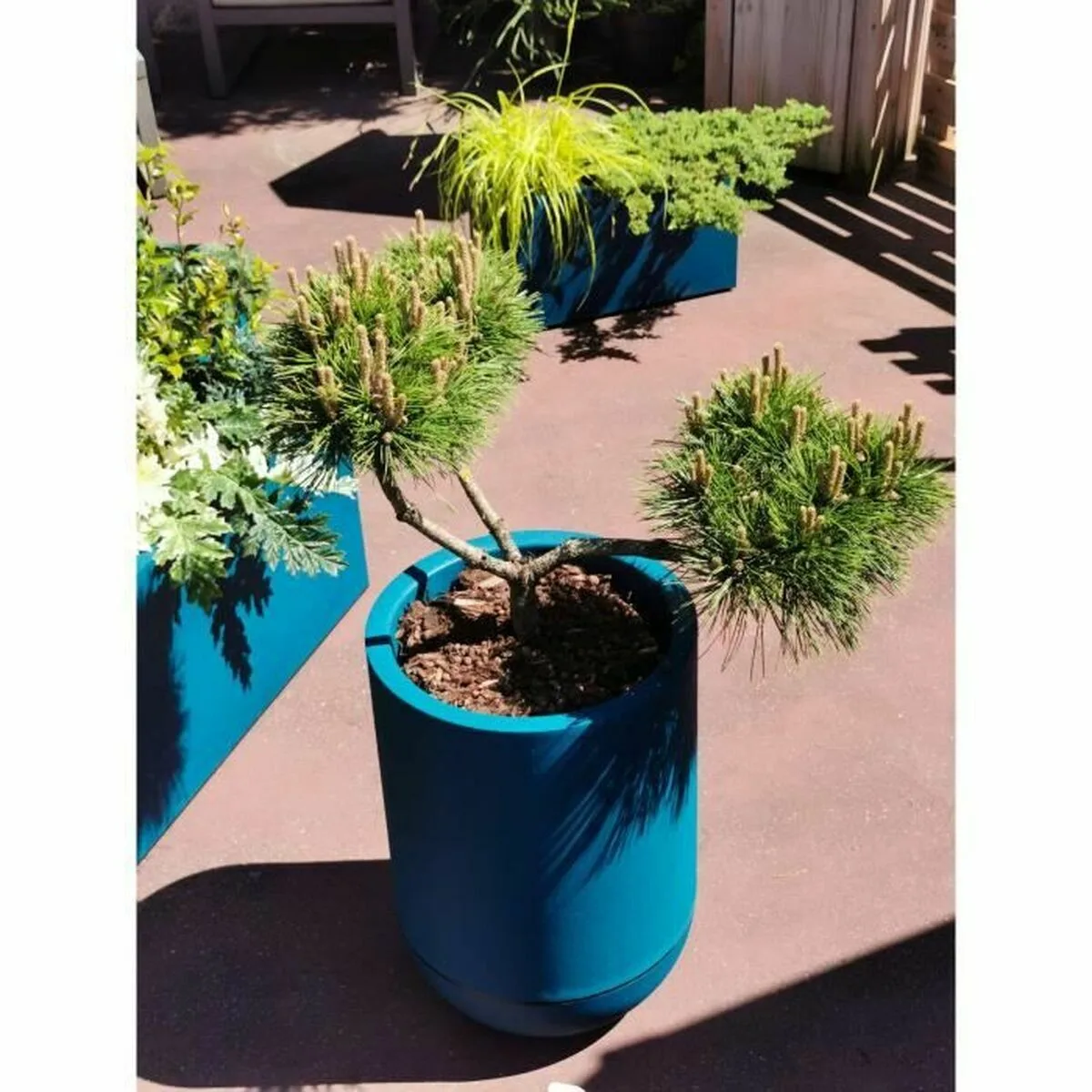 Pot riviera bleu o 50 cm s719688868. Avec Diaytar, redécouvrez le plaisir de l'achat en ligne grâce à une approche humaine des produits et de la curation