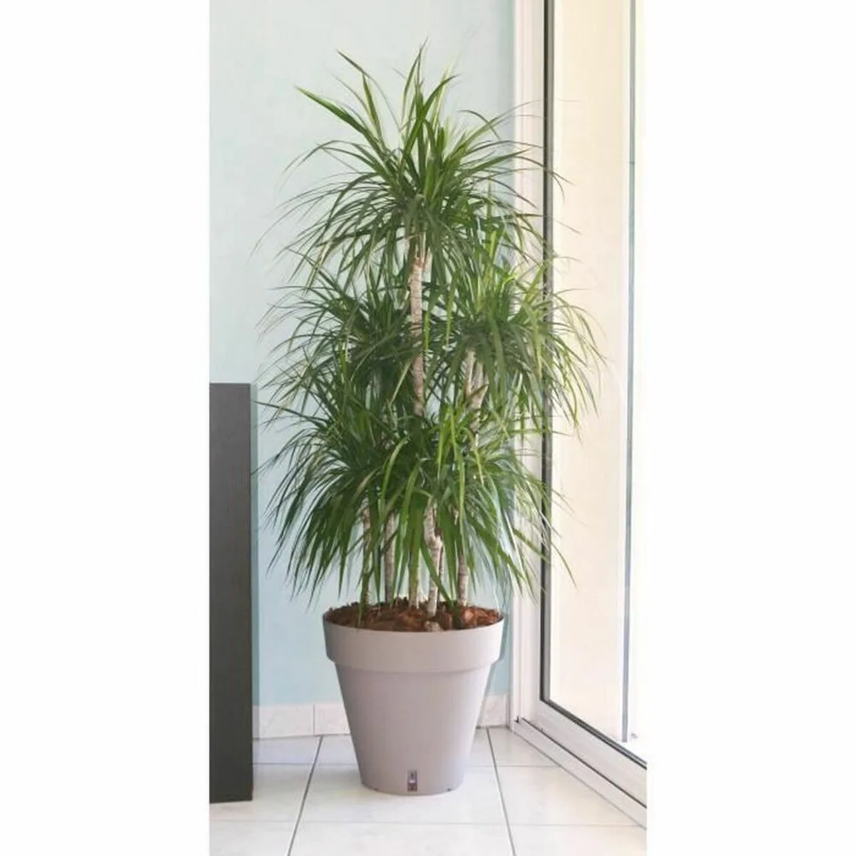Pot riviera marron taupe polypropylene plastique rond ballon o 50 cm s715208252. Notre équipe chez Diaytar est votre équipe de choc, dévouée à débusquer les produits qui méritent votre attention.