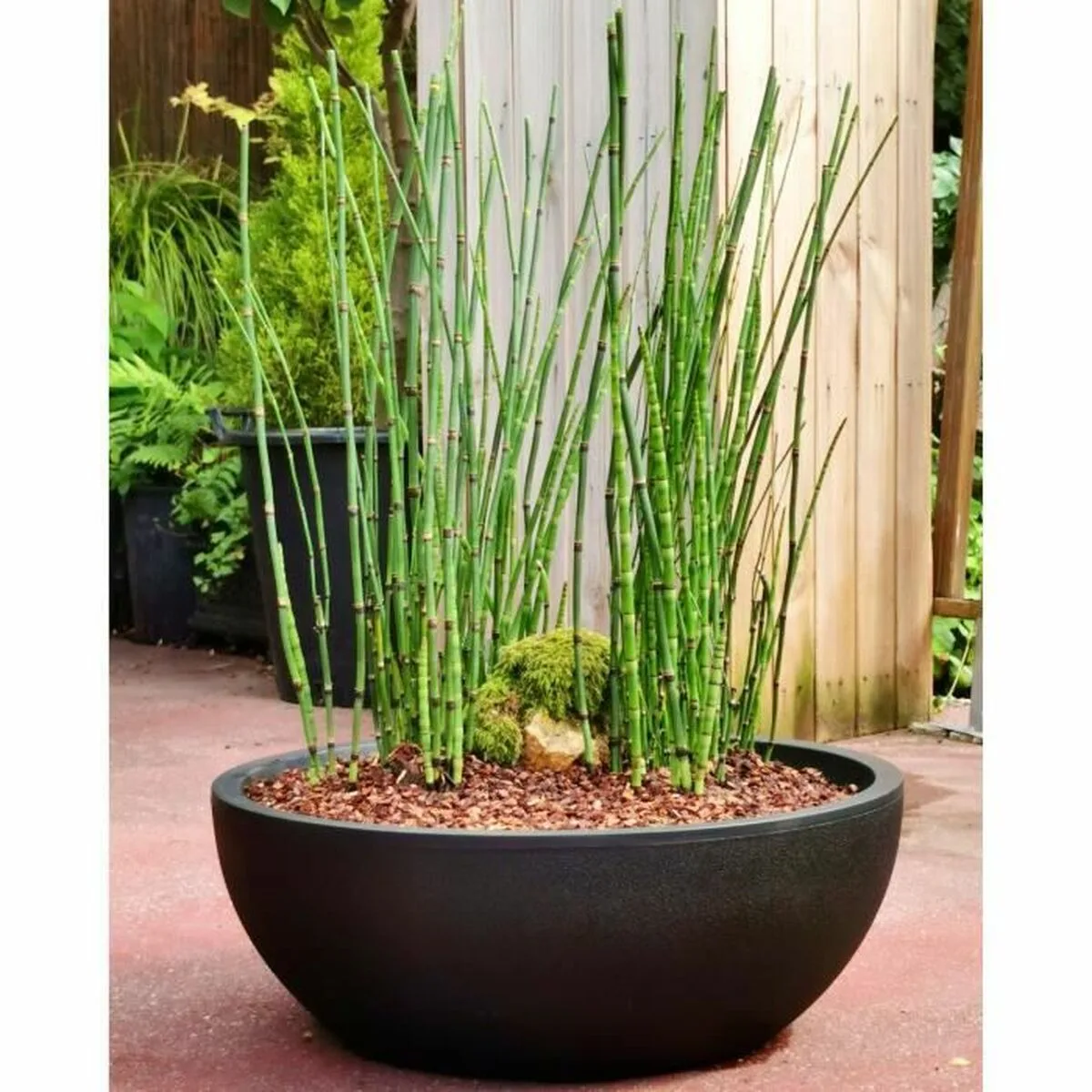 Pot riviera riviera noir o 40 cm s716485958. Nos stylistes Diaytar dénichent pour vous les pépites de la saison.
