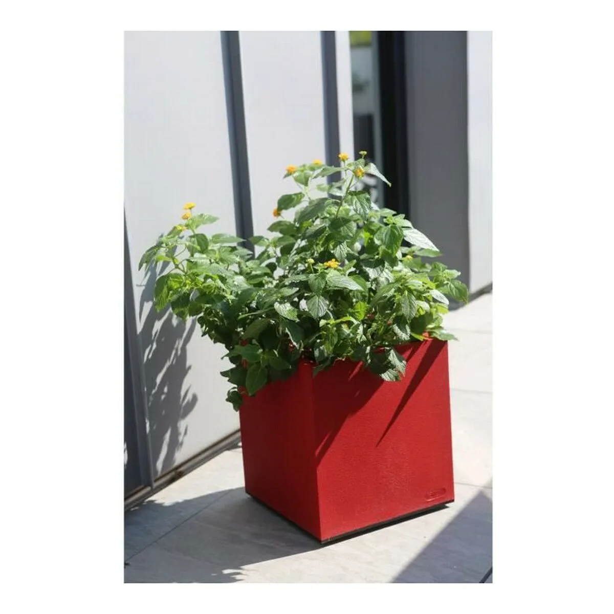 Pot riviera rouge plastique carre 40 x 40 cm s710617629. La qualité Diaytar : un engagement, une promesse, une satisfaction garantie.