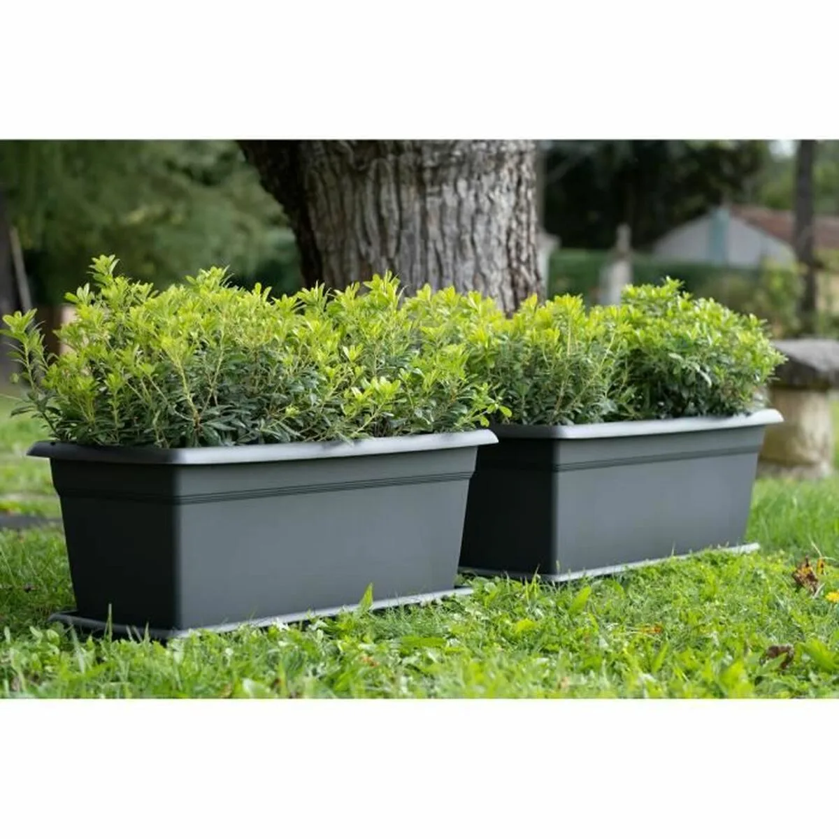 Pot stefanplast mediterraneo anthracite plastique 100 cm s718681137. Diaytar, c'est le hub où se connectent les créateurs de produits géniaux et les clients qui les attendaient sans le savoir.