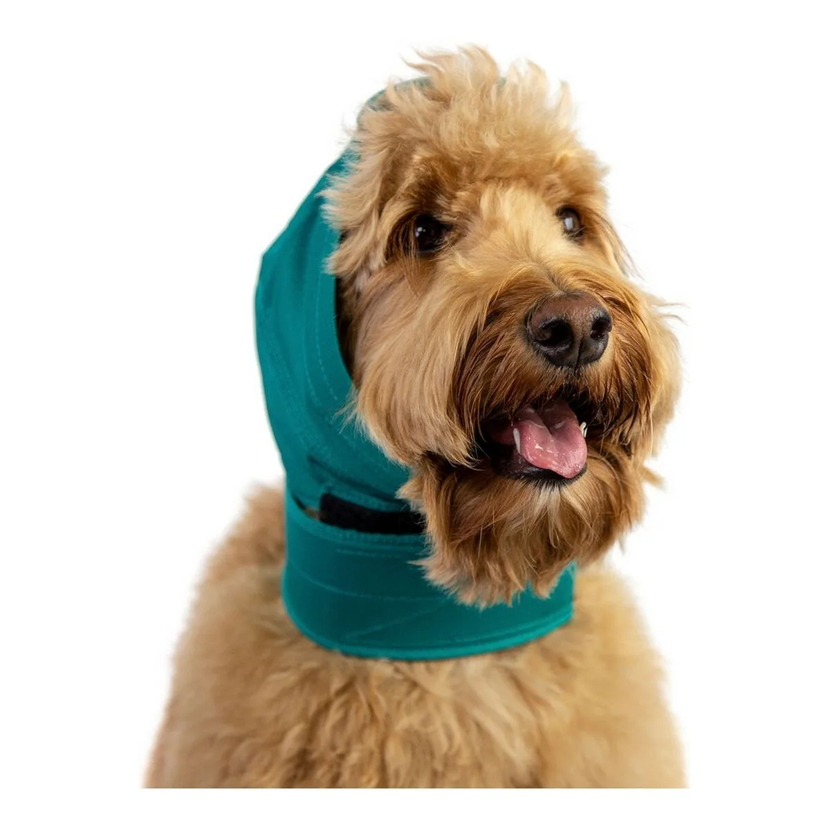 Protecteur d oreilles pour chiens kvp vert xl s610033717. Diaytar : Parce que vous méritez le meilleur, nous sélectionnons l'excellence.
