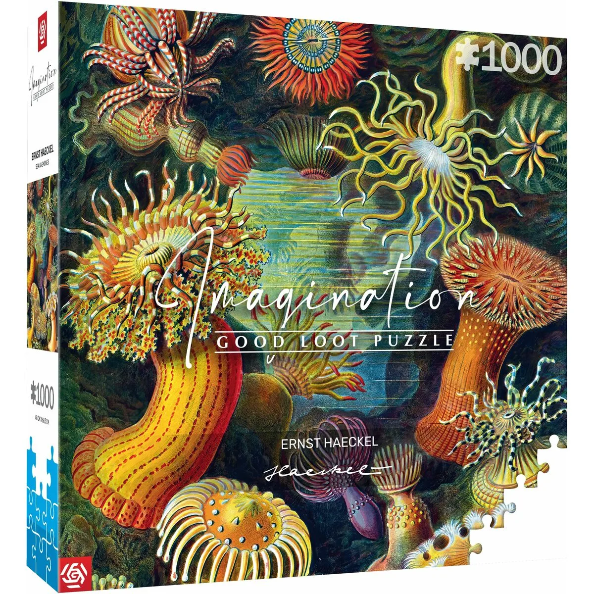 Puzzle cenega publishing ernst haeckel criaturas marinas 1000 pieces s9111016082. Votre foyer mérite le style et le confort des produits Diaytar Home.