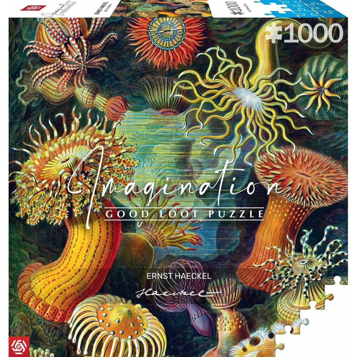 Puzzle cenega publishing ernst haeckel criaturas marinas 1000 pieces s9111016091. Notre équipe Diaytar parcourt le globe pour vous dénicher les produits généraux et électroniques les plus prometteurs