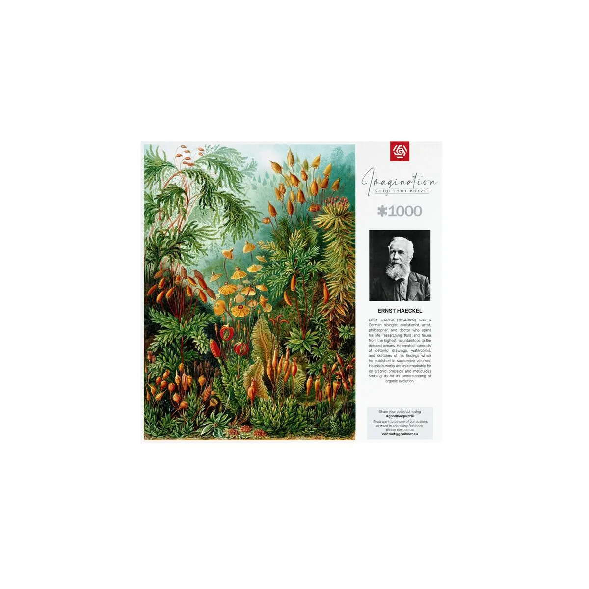 Puzzle cenega publishing imagination ernst haeckel muscinae 1000 pieces s9111015854. Diaytar a sélectionné pour vous une palette de produits allant de l'électronique grand public aux must-have de la maison