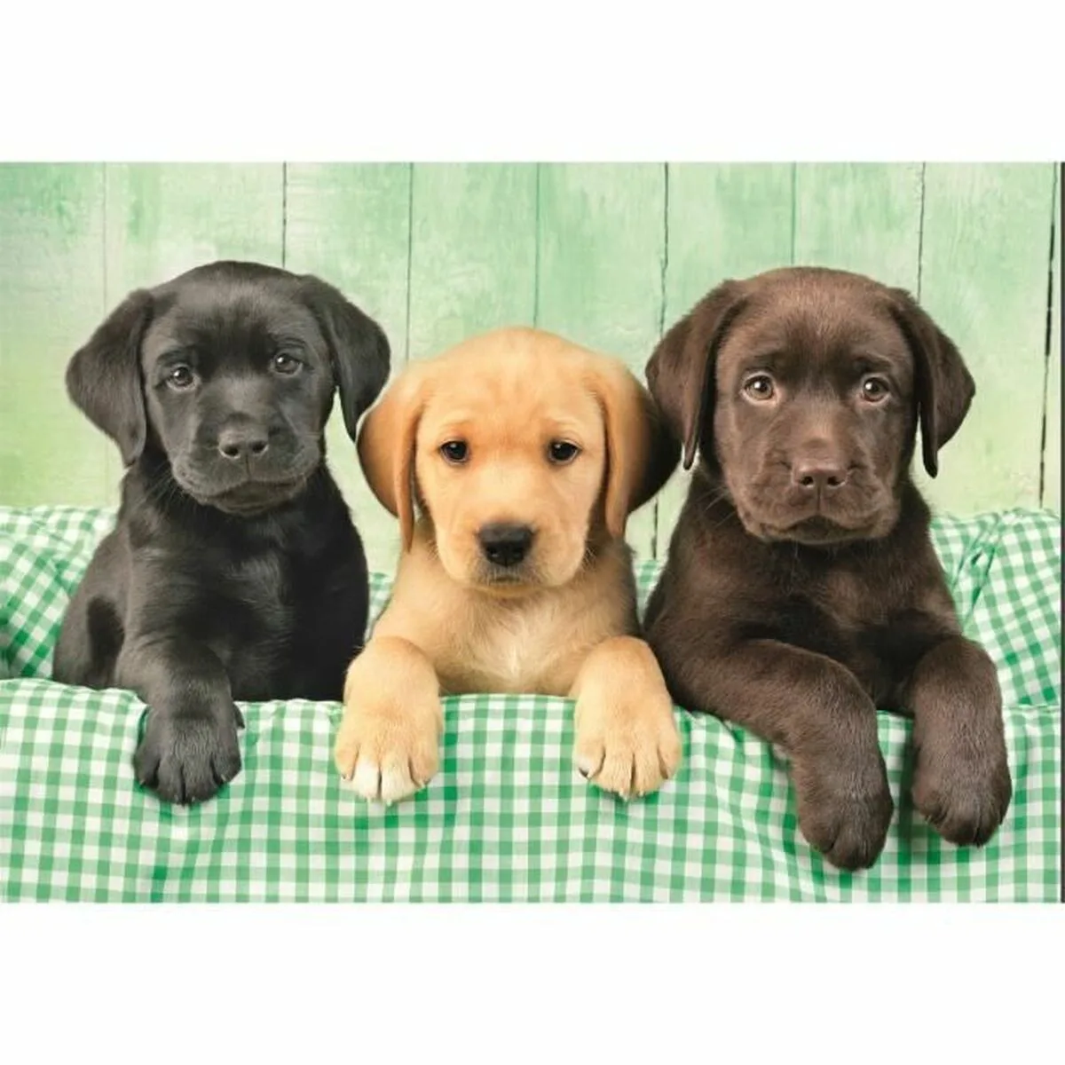 Puzzle clementoni 1000 pieces s7101607727. L'aventure Diaytar, c'est celle d'une équipe passionnée qui déniche pour vous les perles rares du marché généraliste