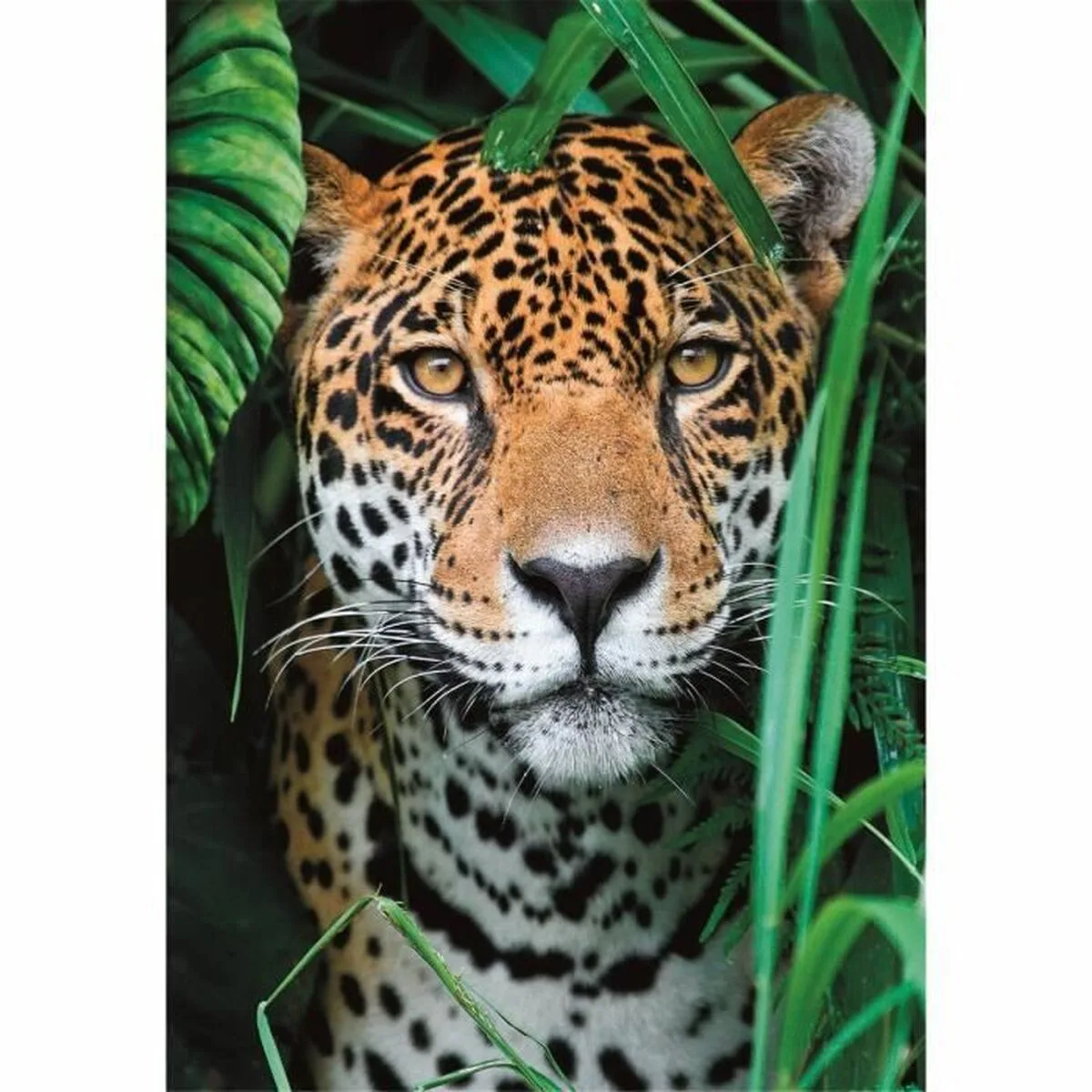 Puzzle clementoni 500 pieces s7101602799. Laissez-vous guider par Diaytar à travers la jungle des produits pour dénicher ceux qui méritent vraiment votre attention
