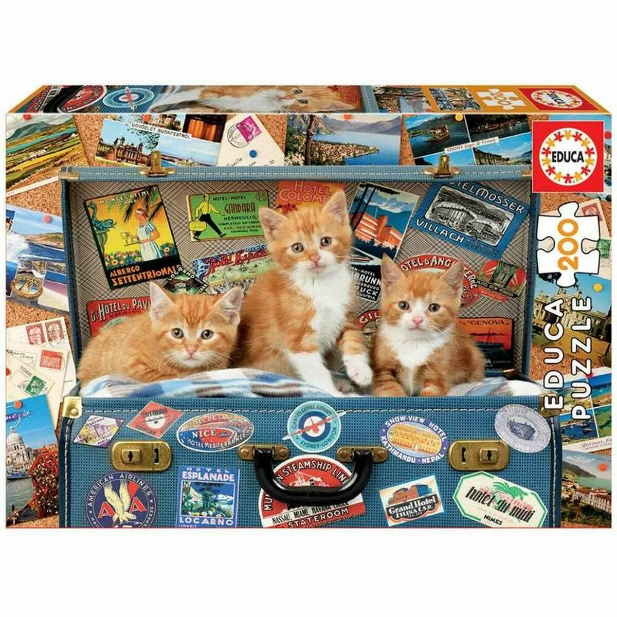 Puzzle educa 18065 200 pieces s240747223. Nous avons rêvé Diaytar pour vous. Une plateforme où chaque clic est une promesse de découverte et de satisfaction.
