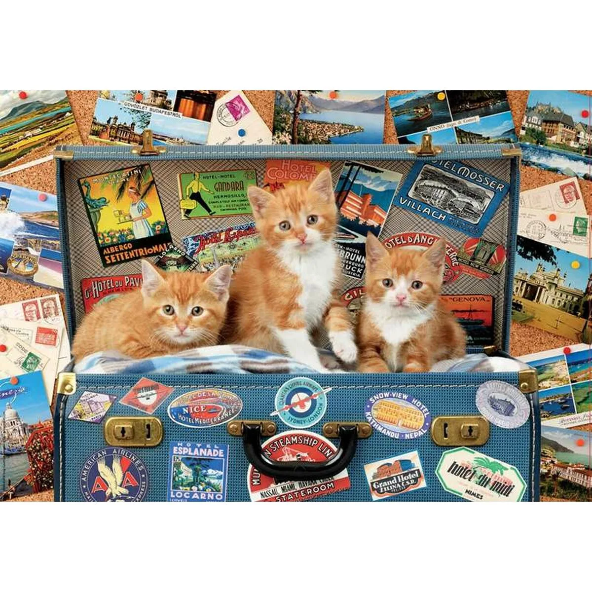 Puzzle educa 18065 200 pieces s240747240. Notre mission chez Diaytar : vous simplifier la vie en vous proposant les produits les plus ingénieux et les plus tendance du marché
