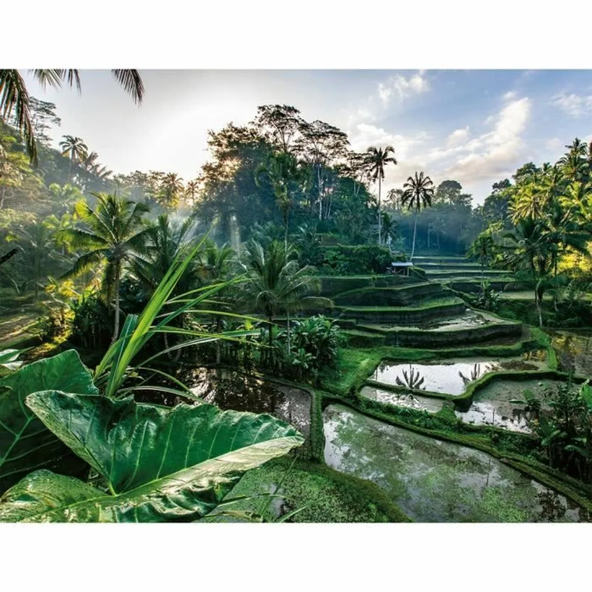 Puzzle ravensburger nathan s7101467068. Diaytar, l'art de mélanger les genres : trouvez l'équipement électronique parfait et l'objet déco qui lui correspondra