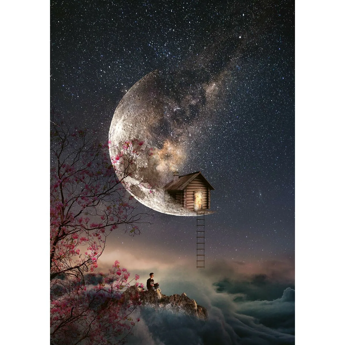 Puzzle schmidt spiele dream dust 1000 pieces s717926875. Diaytar, c'est votre passeport pour un tour du monde des produits les plus inspirants, sans quitter votre canapé.