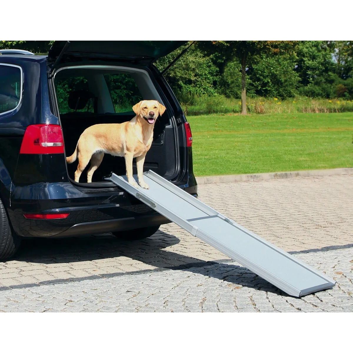 Rampe portable trixie t3940 gris aluminium plastique 43 x 100 180 cm s716646382. Chez Diaytar, nous ne vendons pas que des produits, nous proposons des solutions, du rêve et un peu de magie au quotidien