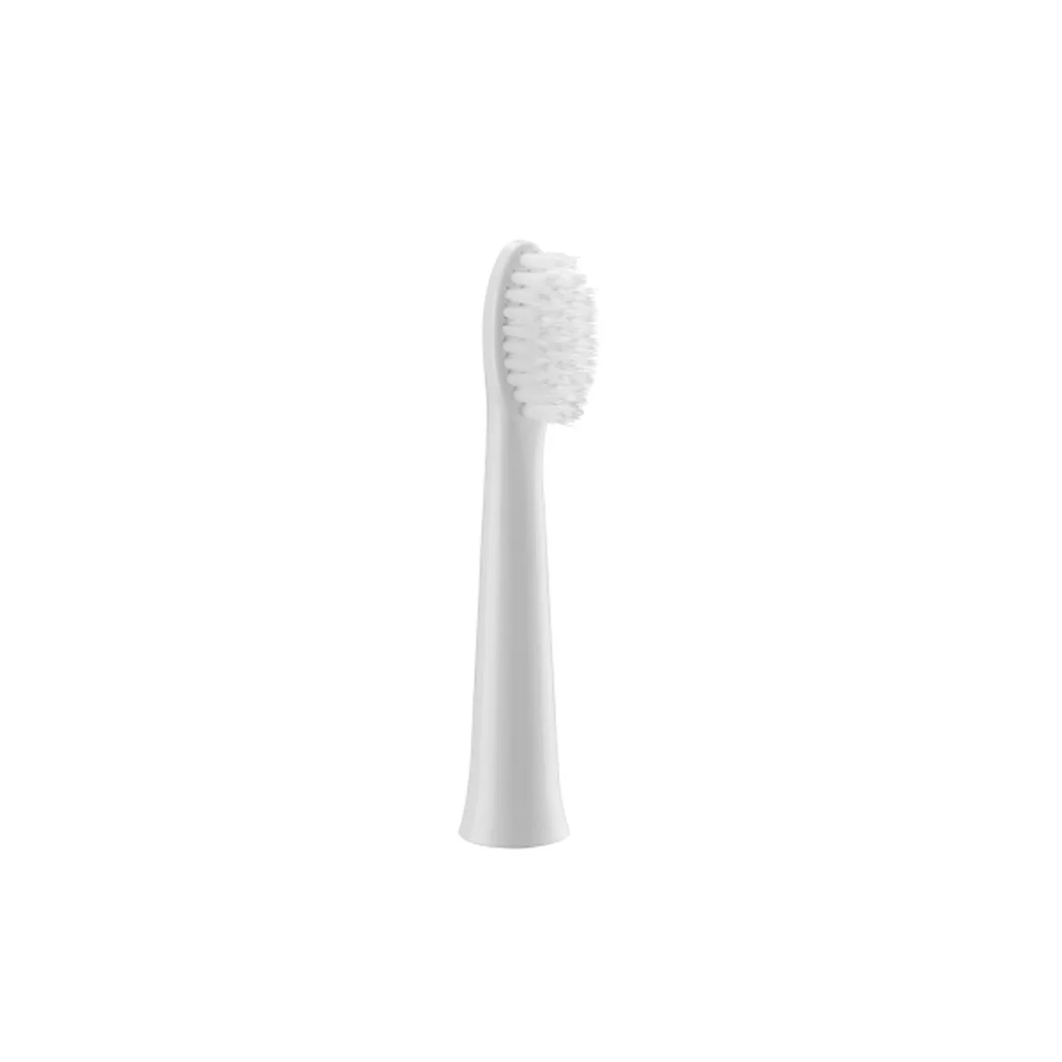 Rechange brosse a dents electrique panasonic wew0972w503 s5529598817. Pour vous, nous avons créé Diaytar : l'antidote à la monotonie shopping, une injection régulière de produits novateurs.