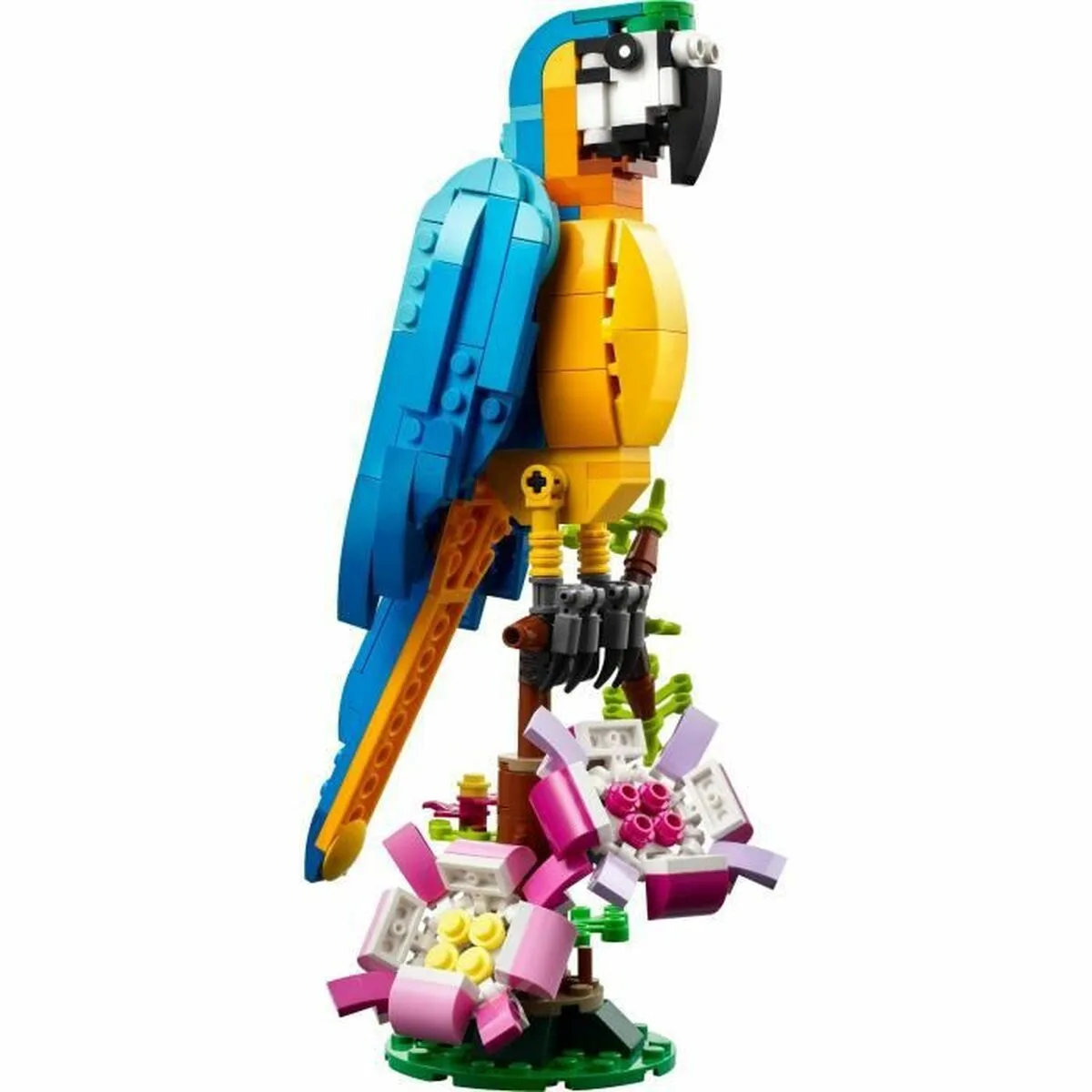Set de construction lego creator 31136 exotic parrot with frog and fish 3 en 1 253 pieces s718692438. Diaytar a fait le pari de la transparence : nous vous disons tout sur l'origine et la conception de nos produits.