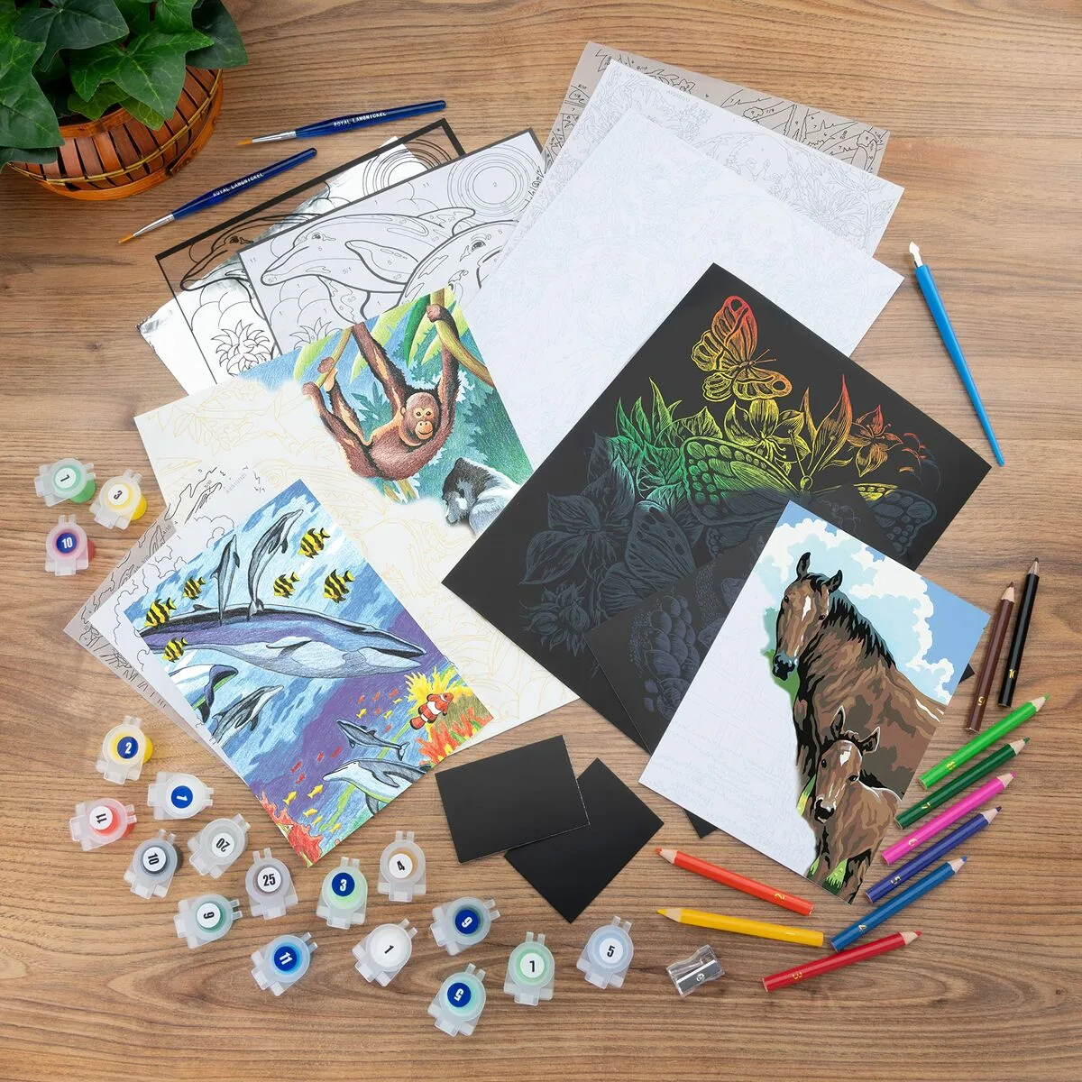 Set de peinture par numeros royal langnickel art adventure 49 pieces s843028653. Diaytar Home : Créez l'atmosphère parfaite dans chaque pièce de votre maison.