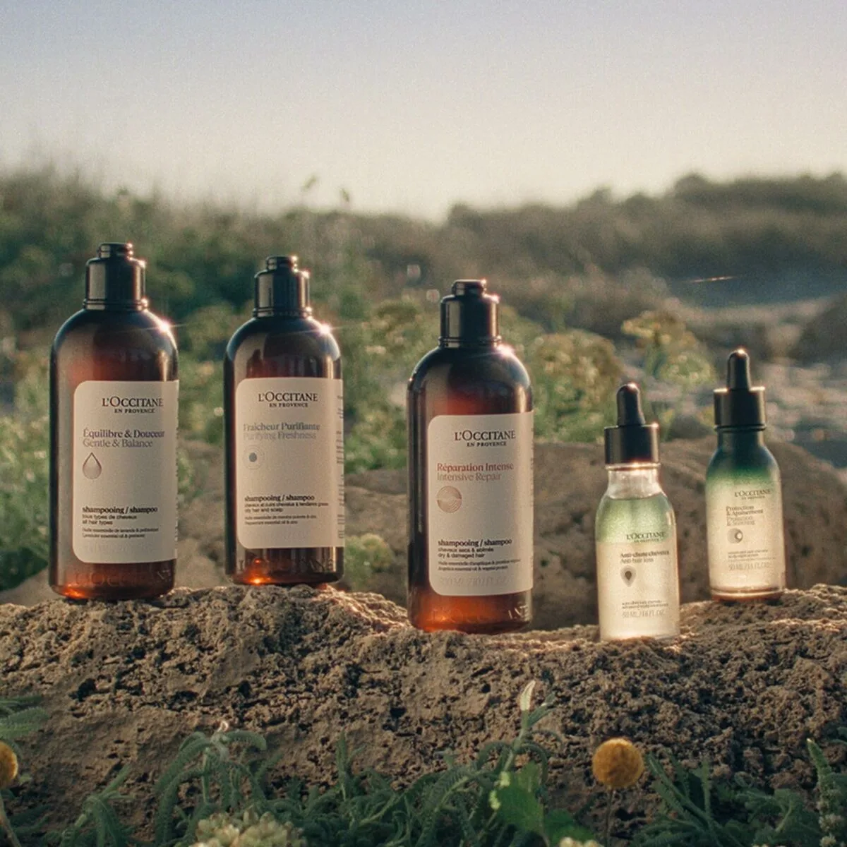 Shampooing l occitane en provence aromacologia 75 ml s0513043291. L'esprit Diaytar : une curiosité insatiable pour dénicher les produits généraux et électroniques qui feront demain