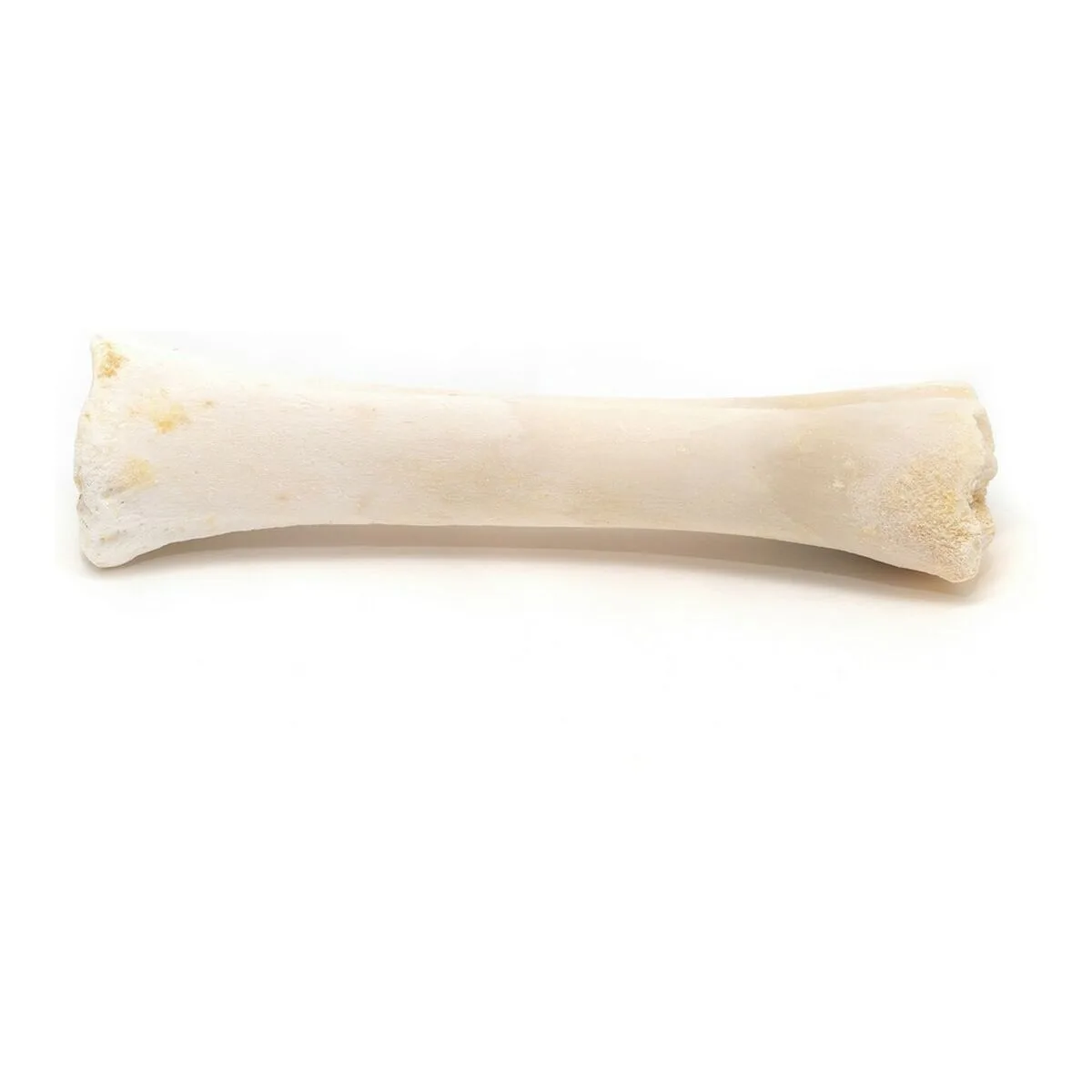Snack pour chiens gloria os calcium 20 unites s610041538. Bienvenue chez Diaytar - Votre destination shopping pour tous vos besoins du quotidien !