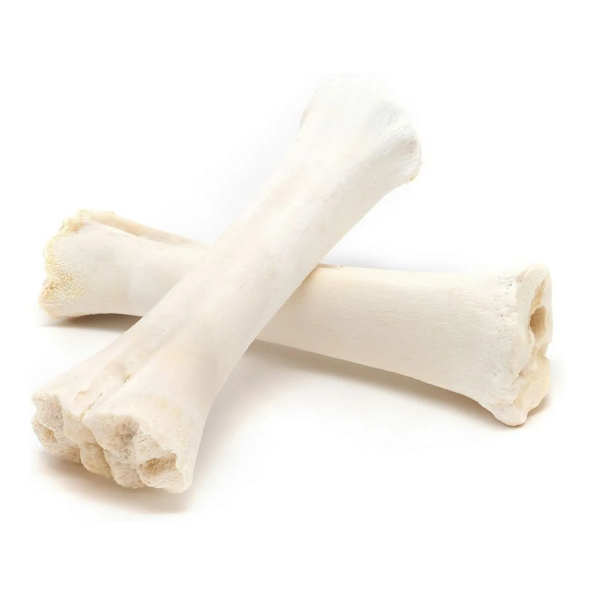 Snack pour chiens gloria os calcium 20 unites s610041545. Diaytar transforme l'essai du e-commerce généraliste en vous offrant une expérience curated, qualitative et surprenante