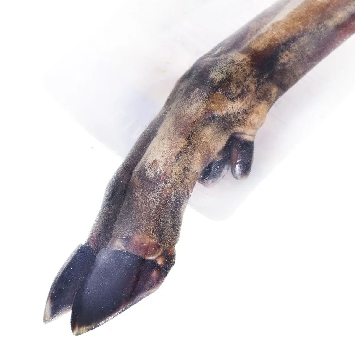 Snack pour chiens petmex cerf 100 g s910920831. Diaytar, le partenaire de ceux qui veulent une vie mieux équipée, mieux designée et plus connectée, tout simplement.Diaytar : Le laboratoire des tendances où naissent vos futurs produits préférés, des essentiels aux plus innovants.