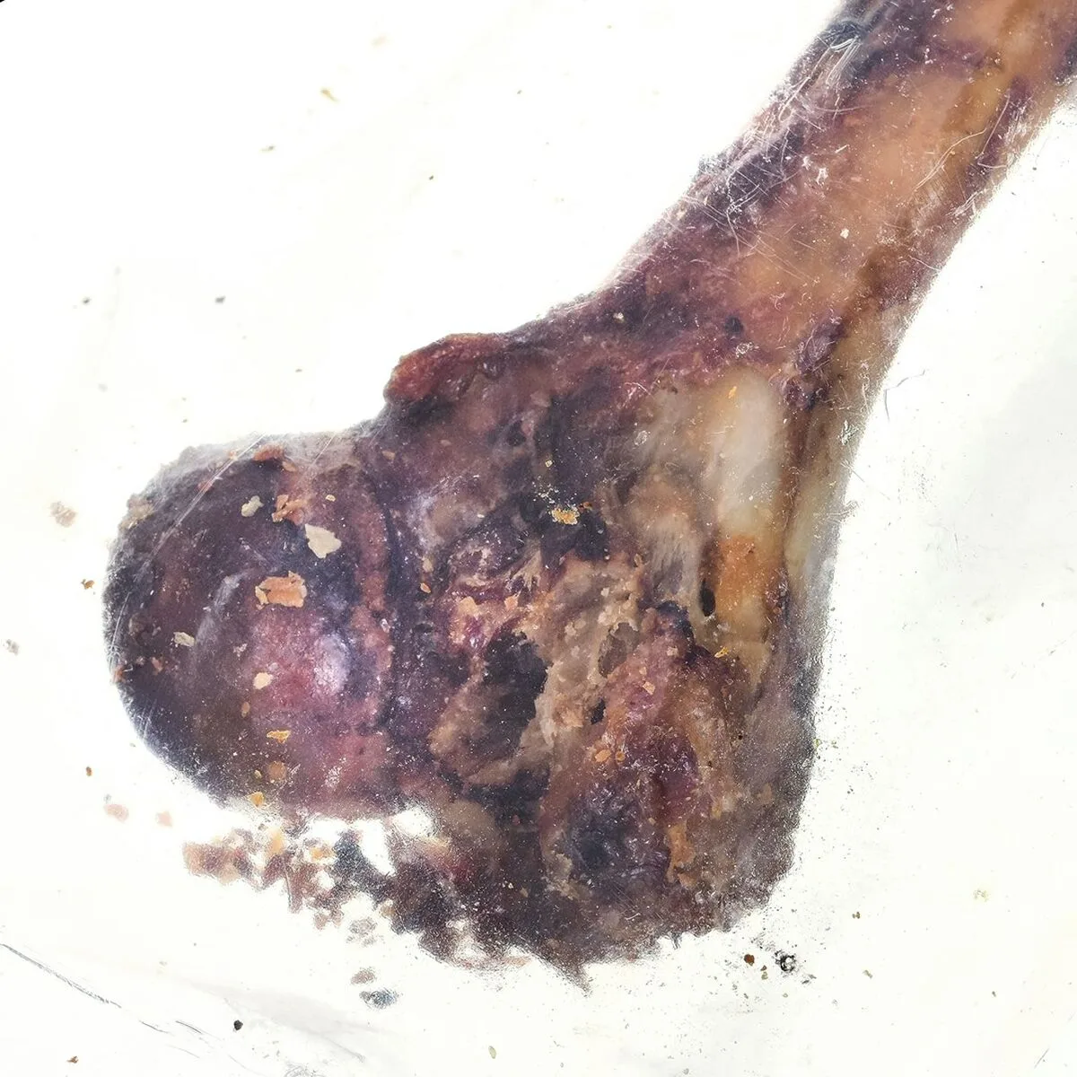 Snack pour chiens petmex ham bone cochon 200 g s910921419. Diaytar, c'est le point de départ de toutes vos histoires. Quel produit allez-vous choisir pour écrire la suite ?