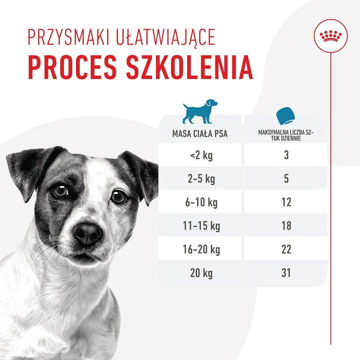Snack pour chiens royal canin training treats 110 g s9111857798. Diaytar : là où le shopping devient une forme d'art. Curateur d'un quotidien plus beau et plus fonctionnel.