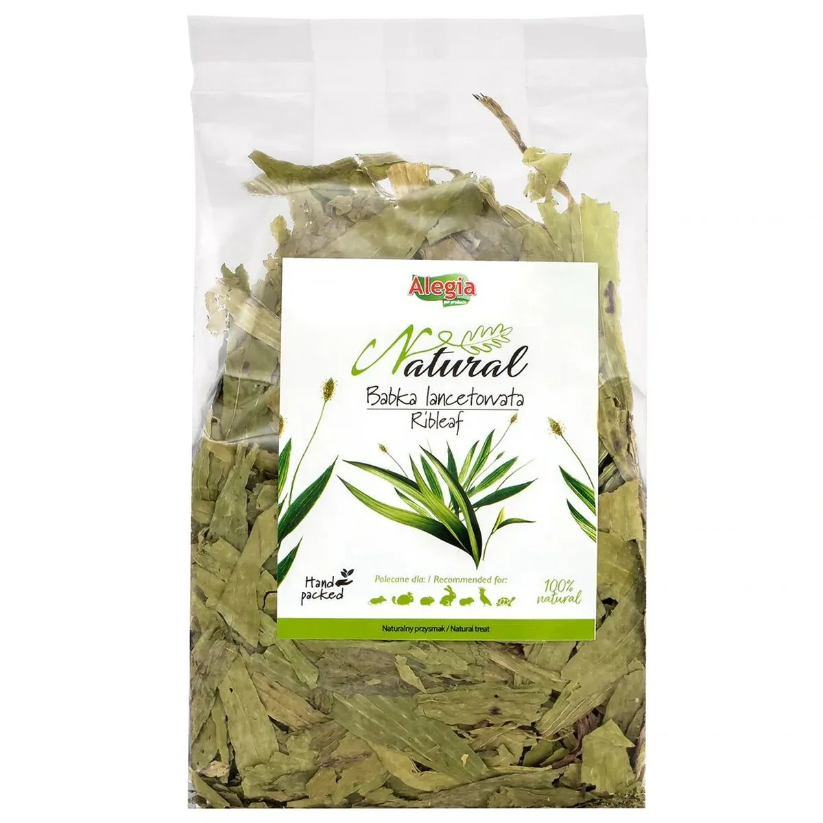 Snacks alegia ribleaf s919575416. Chez Diaytar, nous ne vendons pas que des produits, nous proposons des solutions, du rêve et un peu de magie au quotidien