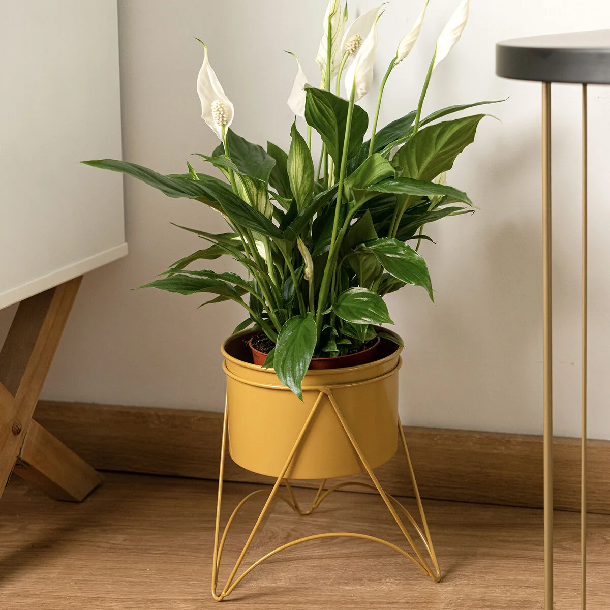 Sous pot vinthera moa acier 19 x 20 cm s271105695. Innovation, style et qualité : les trois piliers de l'expérience Diaytar.