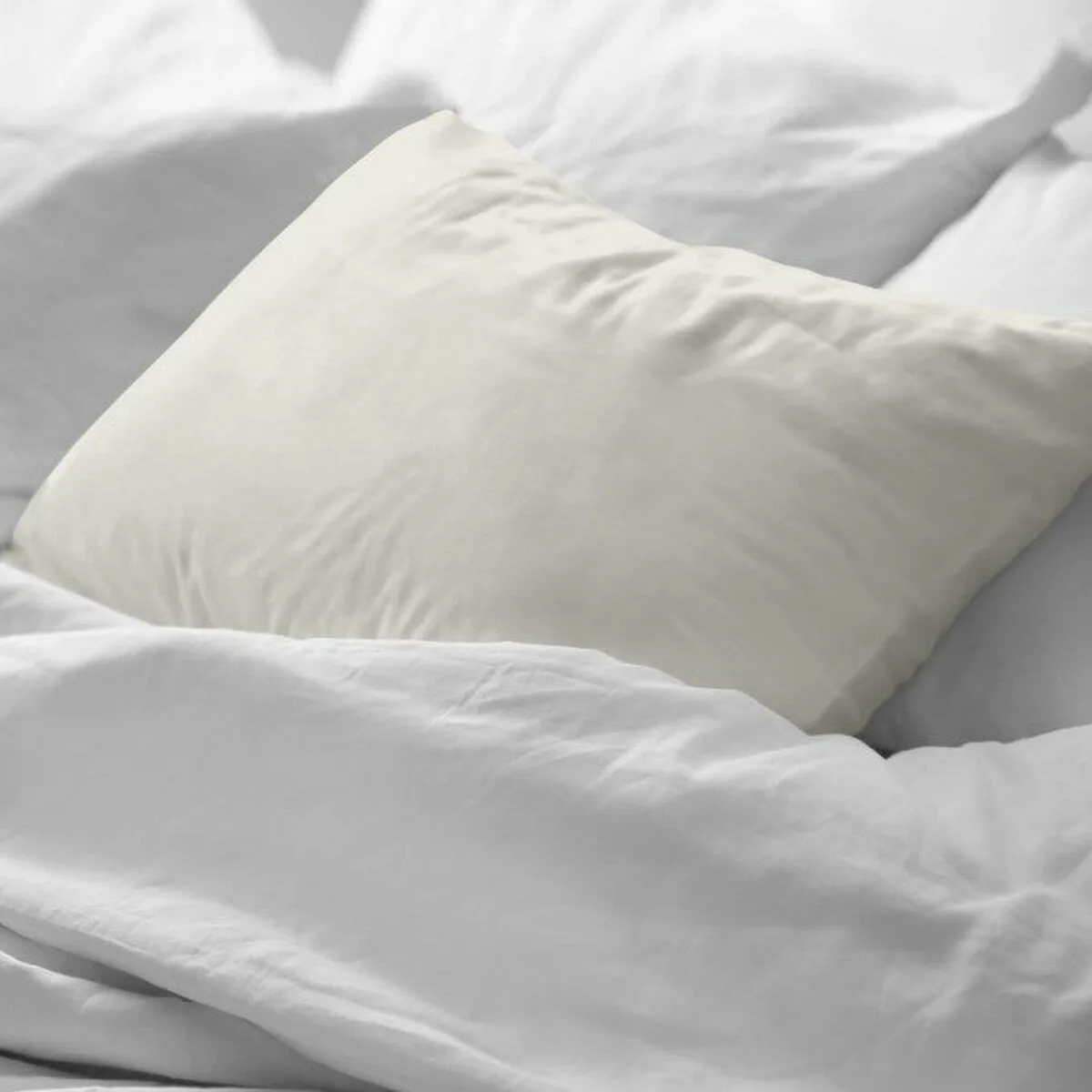 Taie d oreiller decolores liso beige 175 fils 65 x 65 cm coton lisse s981341250. Diaytar mise sur la richesse de son catalogue pour s'imposer comme le leader du shopping généraliste en ligne de qualité