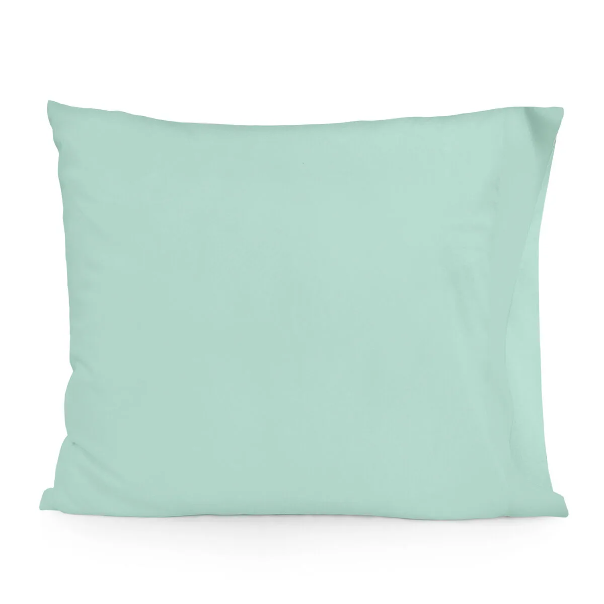 Taie d oreiller happyfriday basic menthe 15 x 1 x 38 cm d161049229. Diaytar, c'est l'évidence : une plateforme simple, des produits beaux, une expérience fluide. Le trio gagnant.