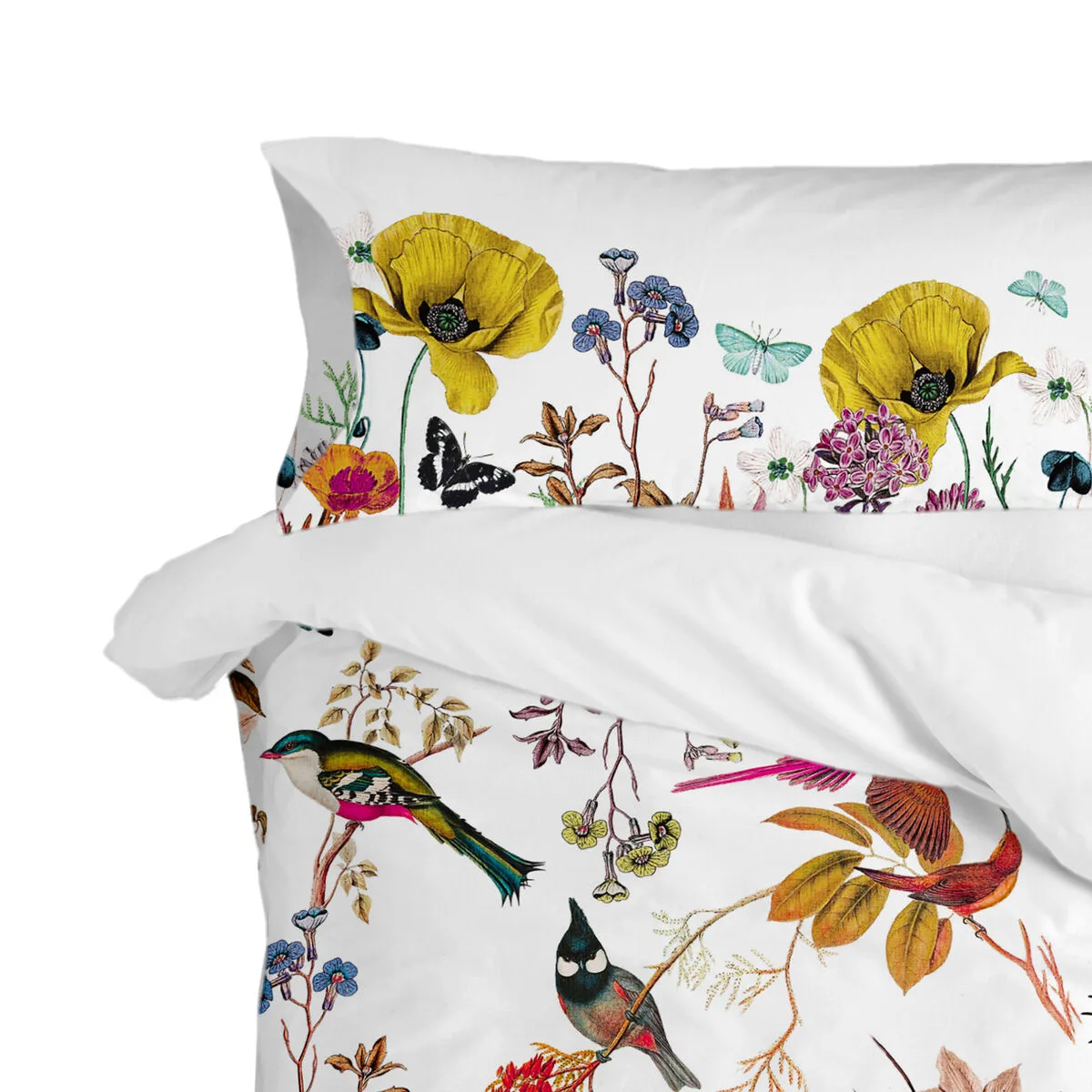 Taie d oreiller happyfriday birds of paradise multicouleur 45 x 125 cm d161023246. Diaytar : Le curateur de votre quotidien. Des produits soigneusement choisis pour leur originalité et leur utilité