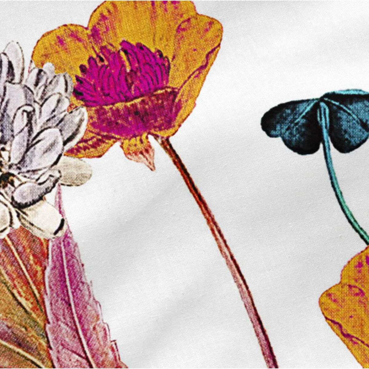 Taie d oreiller happyfriday birds of paradise multicouleur 60 x 70 cm d160970260. Diaytar a bâti sa réputation sur un mélange parfait entre produits technologiques innovants et articles généraux de qualité supérieure