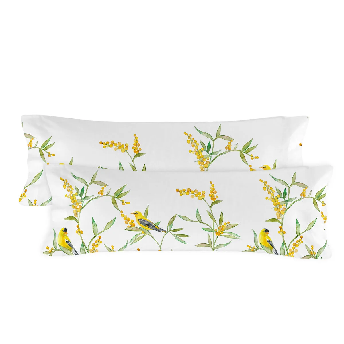 Taie d oreiller happyfriday corniglia multicouleur 45 x 110 cm 2 unites d161296084. Explorez la galerie virtuelle Diaytar et laissez-vous séduire par nos produits généraux tendance et nos inventions électroniques exclusives