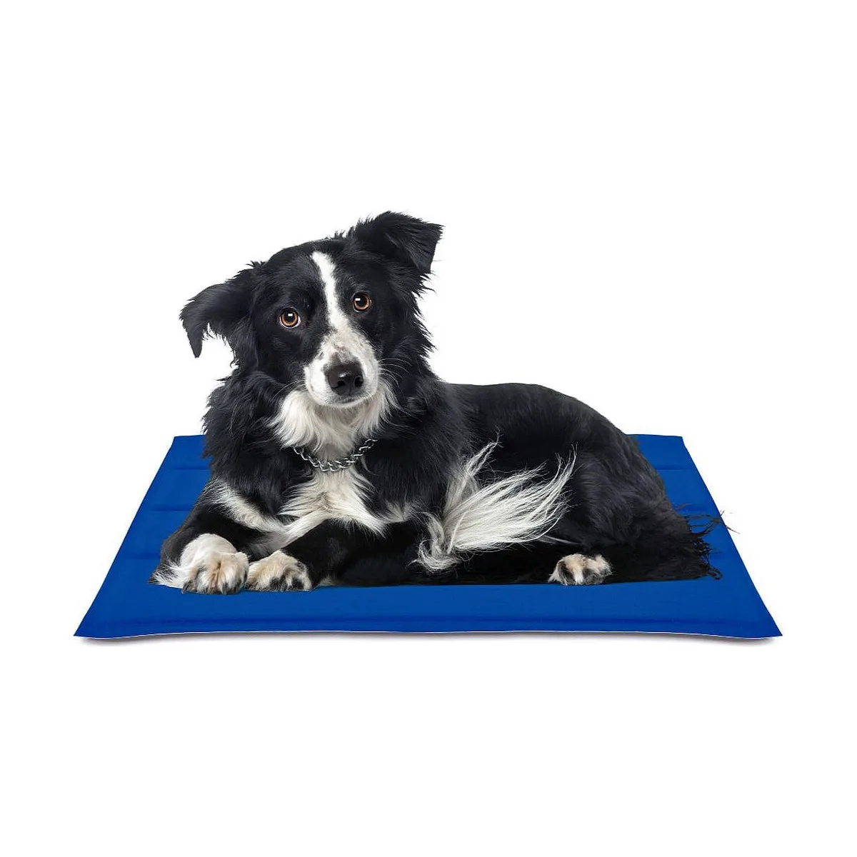 Tapis pour chien nayeco bleu gel refrigerant 50 x 90 cm s790871866. Pour ceux qui refusent de choisir entre fonctionnel et esthétique : Diaytar propose les deux dans chaque produit
