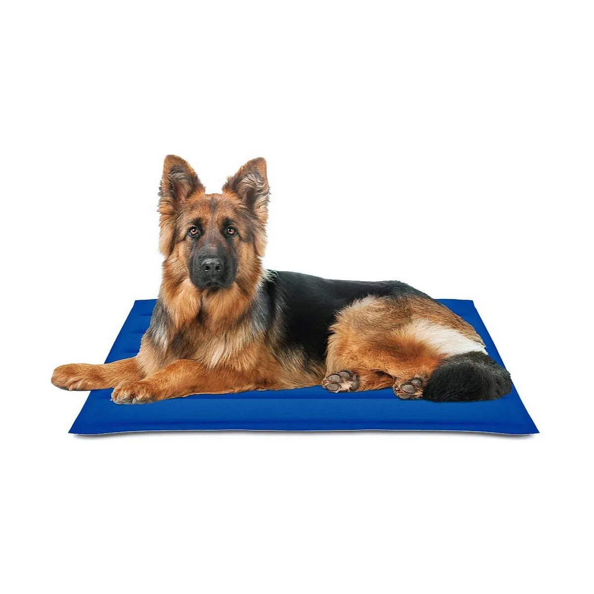 Tapis pour chien nayeco bleu gel refrigerant 90 x 105 cm s790871928. Chez Diaytar, nous célébrons la singularité de chaque produit, qu'il s'agisse d'un gadget tech ou d'un ustensile maison