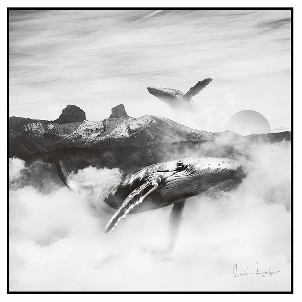 Toile 80 x 2 5 x 80 cm baleine s880005915. Diaytar pense global, shoppe local : une plateforme généraliste avec une approche curated pour un public international
