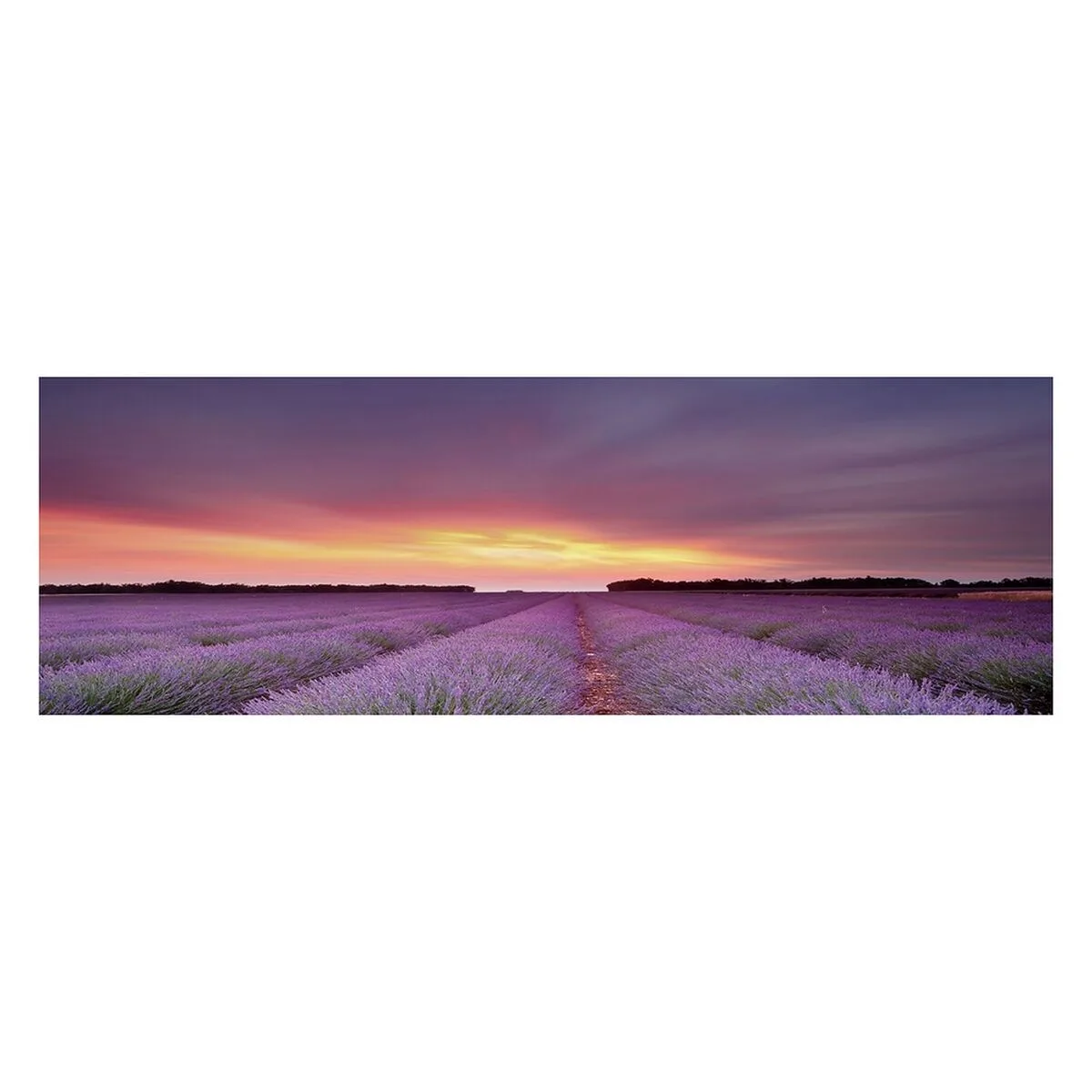 Toile bois toile 150 x 3 x 50 cm s880884223. Diaytar a fait de la variété son arme secrète : une offre généraliste si vaste que vous y trouverez forcément l'inimaginable