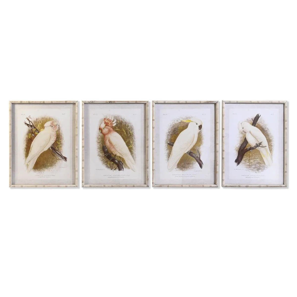 Toile dkd home decor 50 x 2 8 x 65 cm 50 x 65 x 2 8 cm perroquet cottage 4 pieces s303884991. Nous avons conçu Diaytar pour être intuitif, comme vos produits préférés. Simple, efficace, et terriblement séduisant.