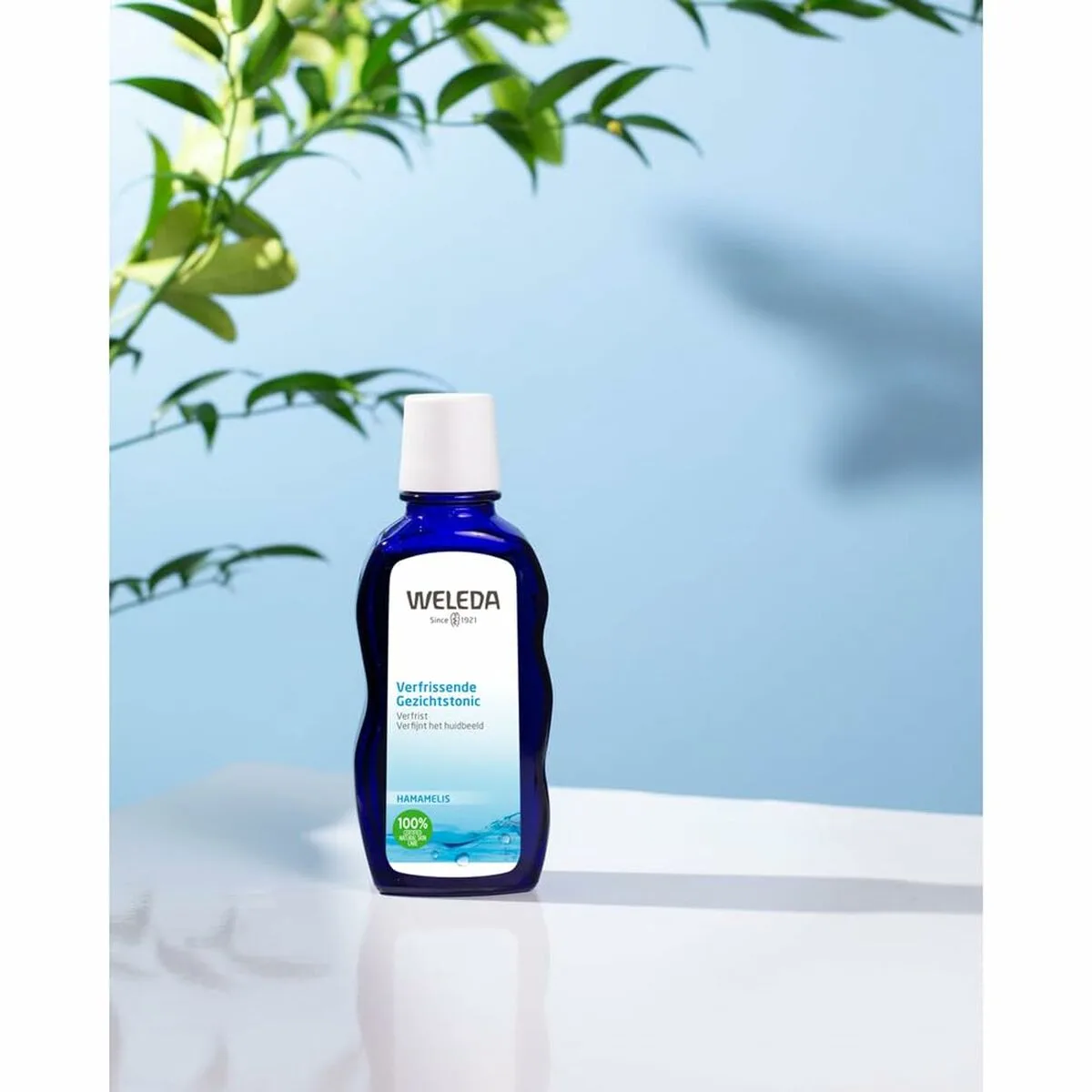 Tonique facial weleda 100 ml m012358883. Diaytar, c'est le point de départ de toutes vos histoires. Quel produit allez-vous choisir pour écrire la suite ?