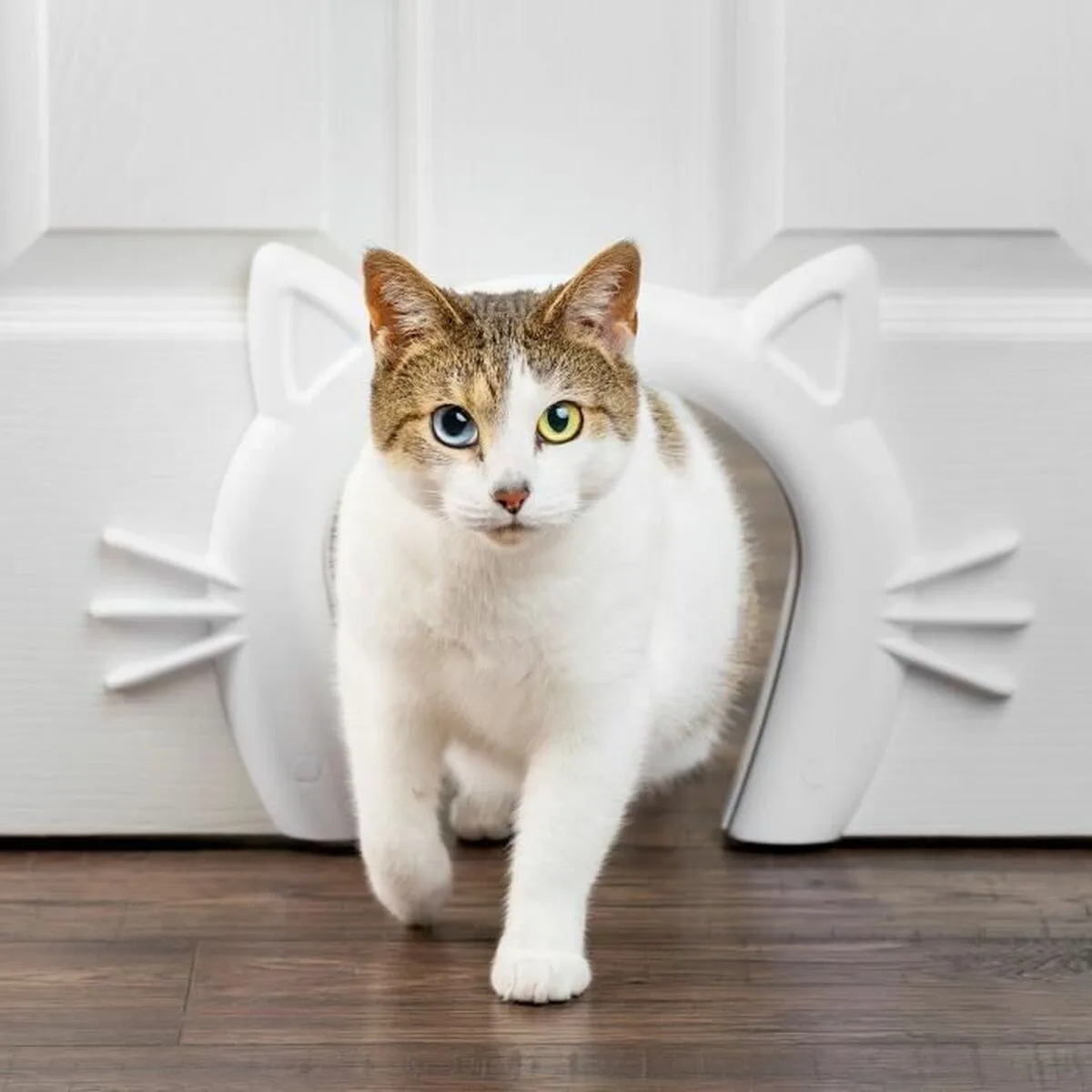 Tunnel petsafe s7100151363. Diaytar a foi en une idée simple : les meilleurs produits, qu'ils soient électroniques ou généraux, embellissent le quotidien
