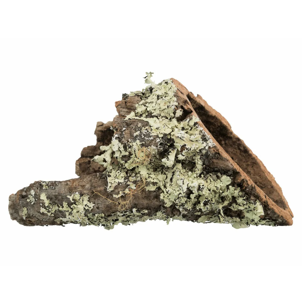 Tunnel trixie m060189880. Bienvenue dans l'ère du shopping conscient. Diaytar privilégie des produits avec une éthique et un impact positif.