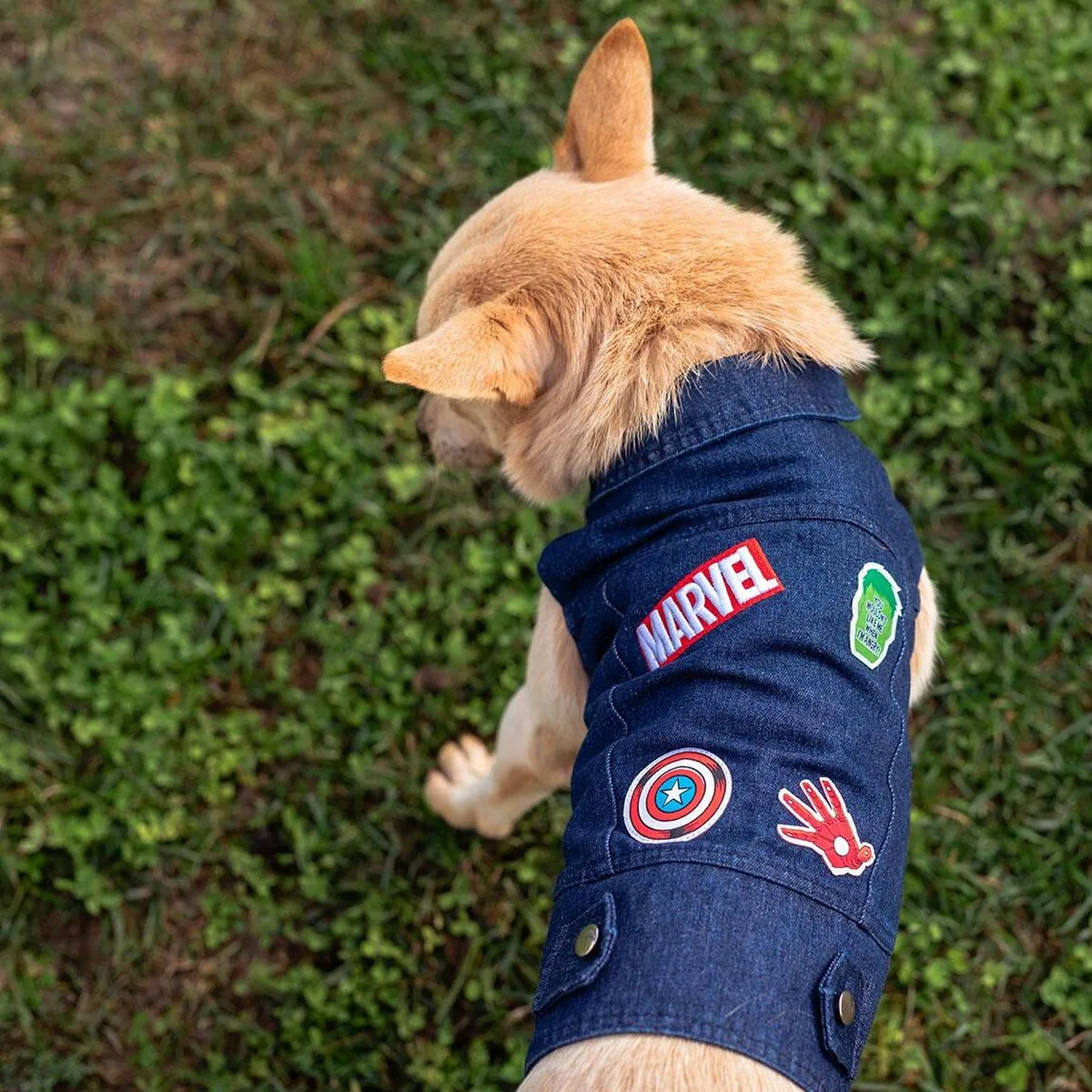 Veste pour chien marvel bleu s s073501057. Nous avons infusé Diaytar avec une dose massive de passion pour le produit. Contagieux : vous allez l'attraper.