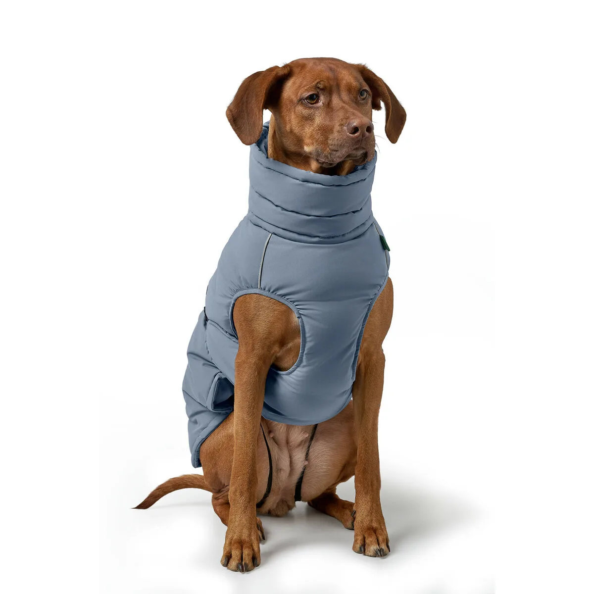 Vetements pour animaux de compagnie hunter paxson bleu polyester s610513154. Pour vous, nous avons créé Diaytar : l'antidote à la monotonie shopping, une injection régulière de produits novateurs.