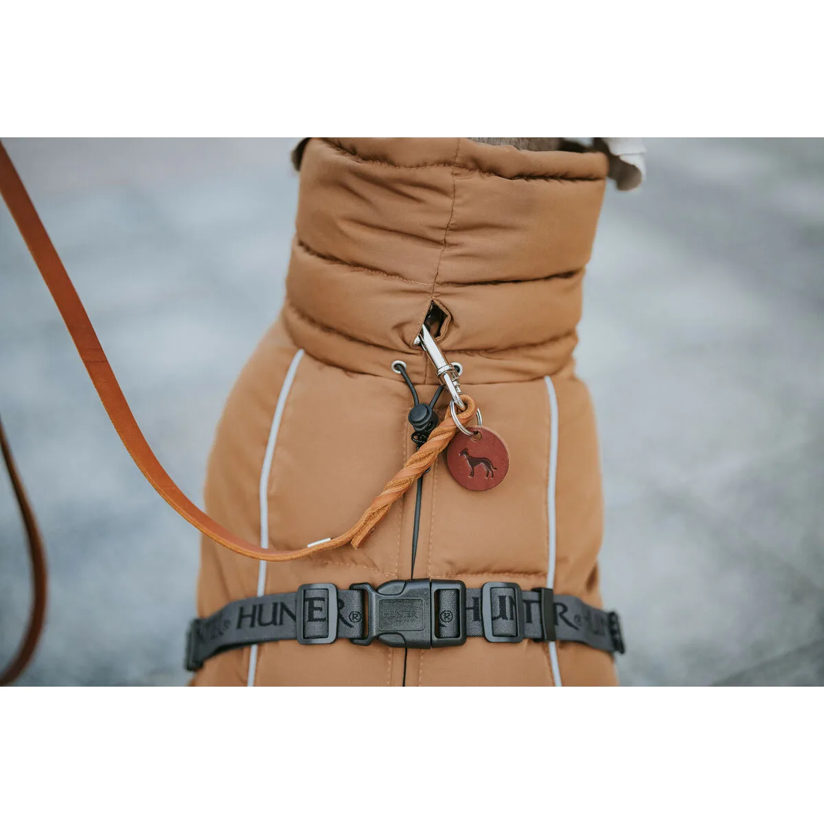 Vetements pour animaux de compagnie hunter paxson marron polyester s610518927. Oubliez tout ce que vous savez sur le e-commerce. Diaytar réécrit les règles avec une offre audacieuse et éclectique.