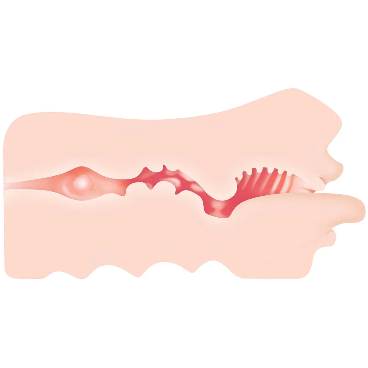 Vortex dame rose zero tolerance zero tolerance viande s940450621 Vortex dame rose zero tolerance zero tolerance viande s940450621. Diaytar, c'est le cercle vertueux : des produits de qualité qui améliorent votre vie, qui vous rendent heureux, alors vous revenez.